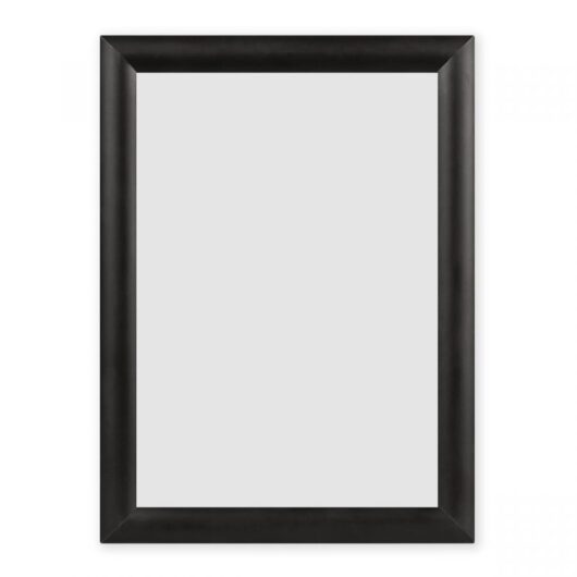 Poster Frames and Snap Frames Artesian for Sale