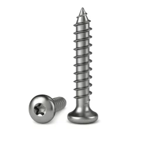 SS Security Screws T25
